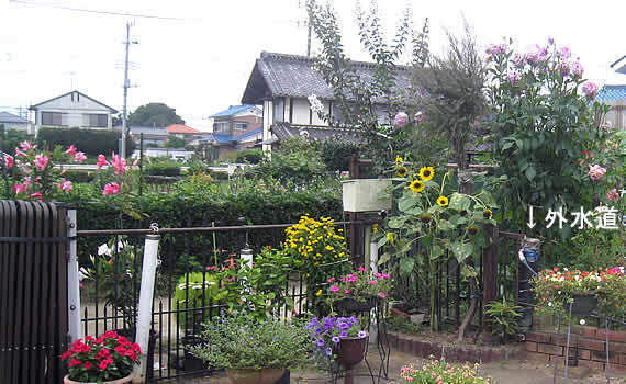 fenceunai.jpg