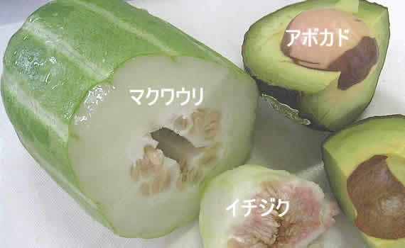 kataimiono.jpg
