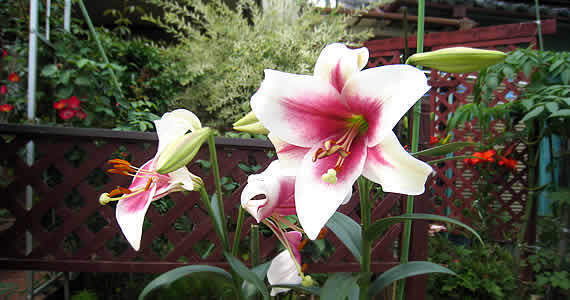 20116.jpg