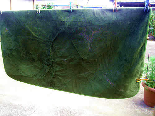 carpet.jpg