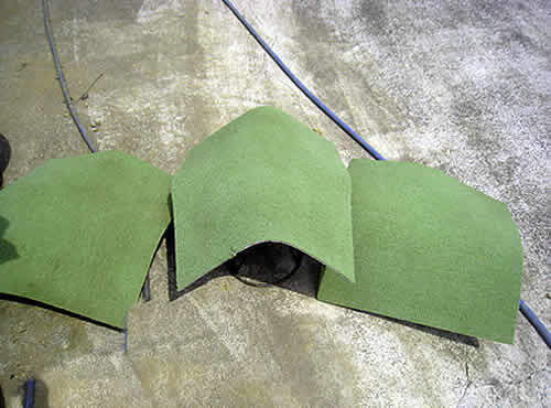 carpet1.jpg