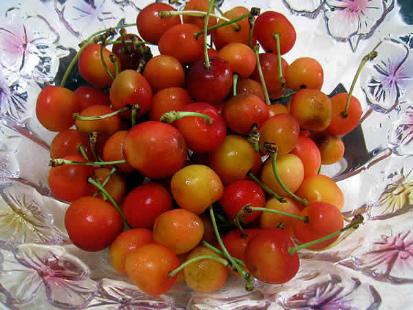 cherry.jpg