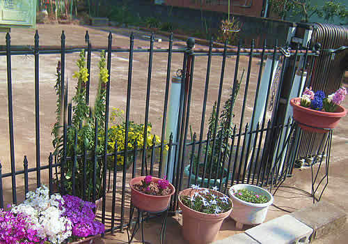 fencegiwa.jpg