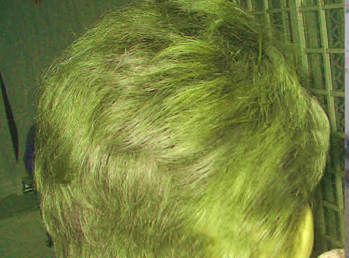 green.jpg