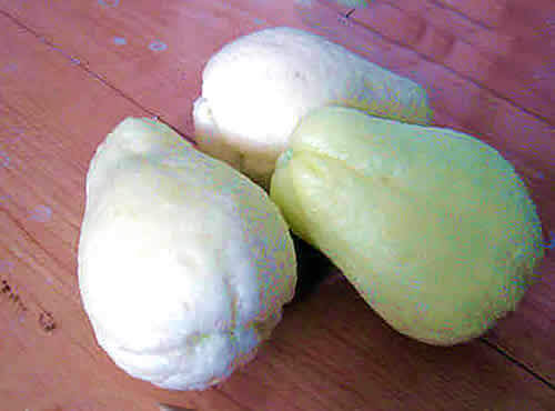 hayatouri.jpg