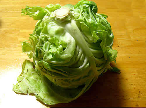 kyabetu.jpg