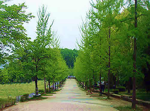 myu-zupark.jpg
